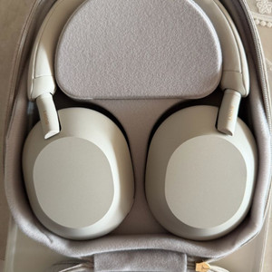 소니 헤드폰 WH-1000XM5 실버