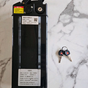 전기 자전거 배터리