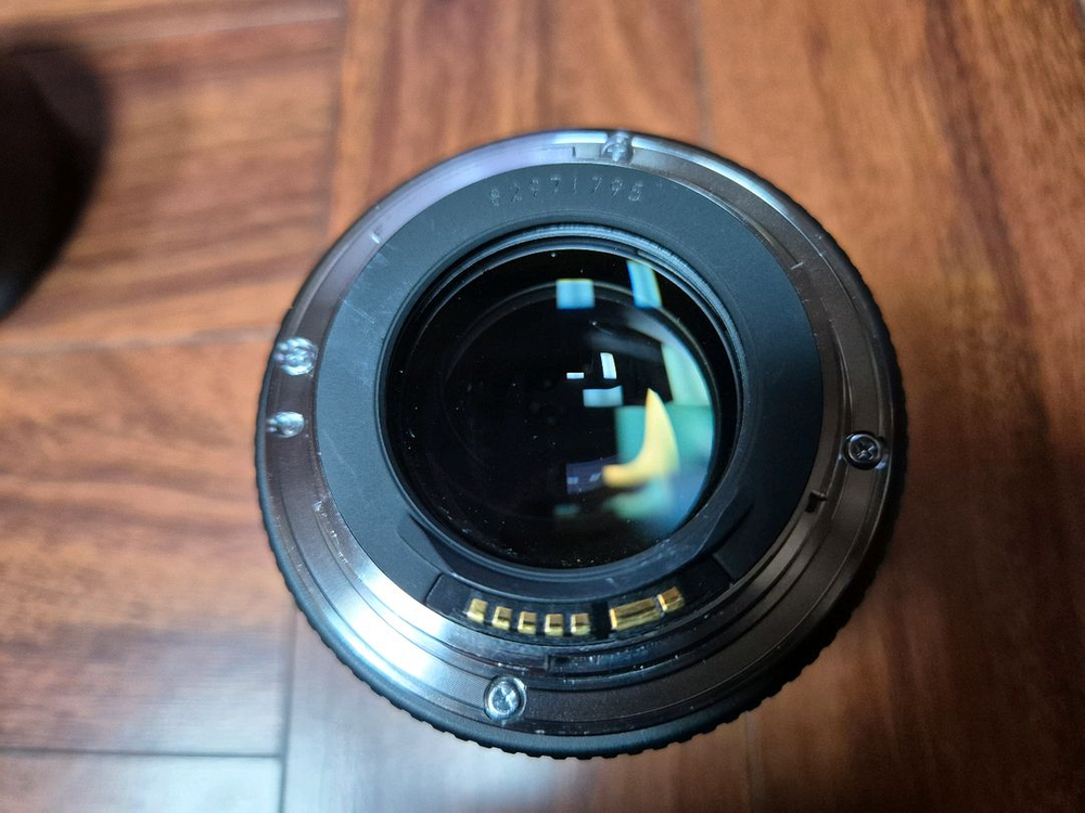 캐논 EF 85.8mm 애기만두--6