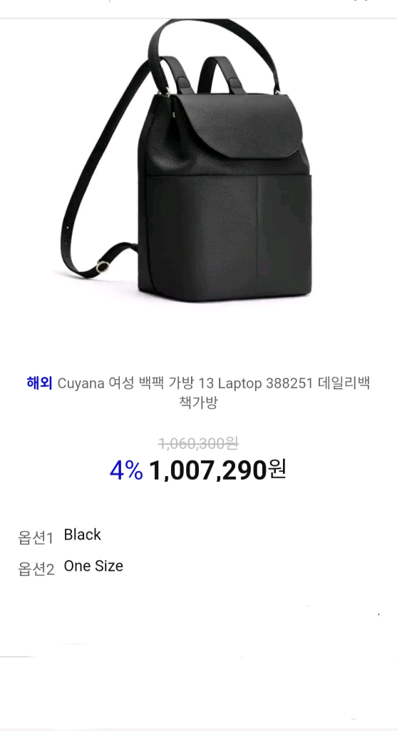 CUYANA 여성 가죽백팩/ 디올 보스턴백--1