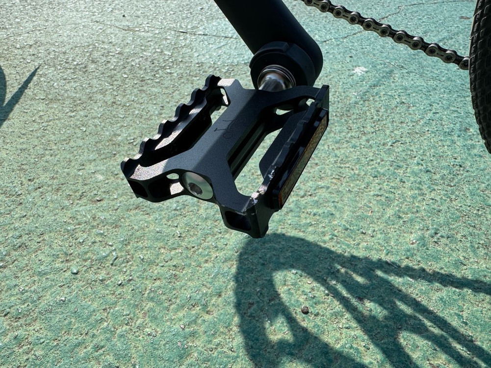 25년 브롬톤 p라인 일렉트릭 4단--5