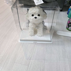 마젤 플라워 스튜디오 프리저브드 조화꽃 정품