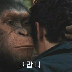 세이코 튜나 스프링드라이브 마린마스터 구함 이미지