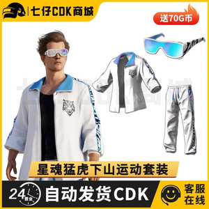 배그 스킨코드 싱훈 2차 남성세트 [가격 상승중] 이미지