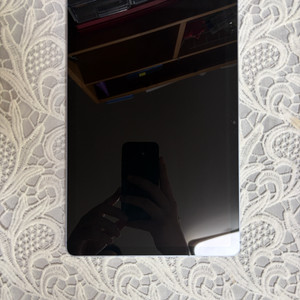 갤럭시탭s10 fe 256 wifi스카이블루