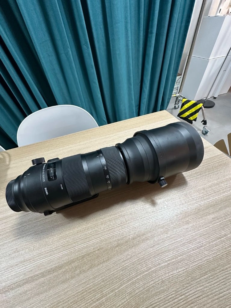 시그마 EF 150-600mm F5-6.3 DG 스포츠 이미지