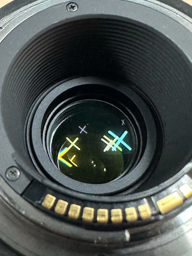 시그마 EF 150-600mm F5-6.3 DG 스포츠 이미지