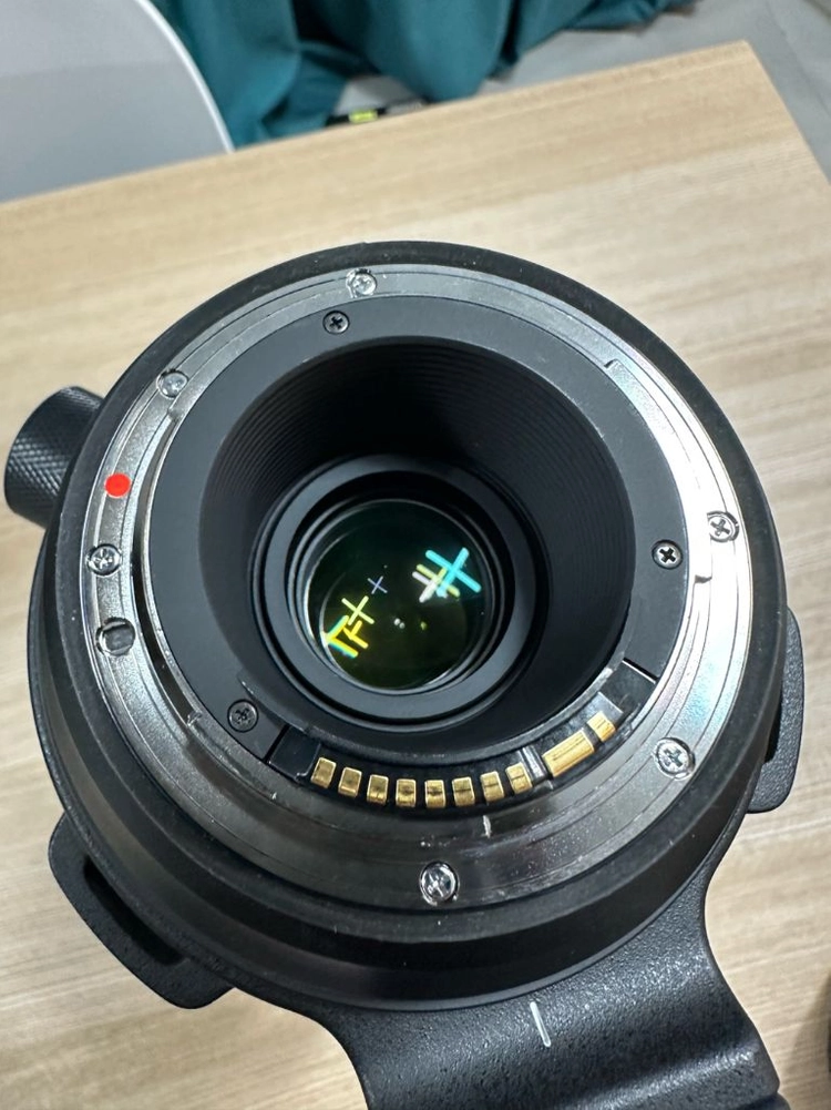 시그마 EF 150-600mm F5-6.3 DG 스포츠 이미지