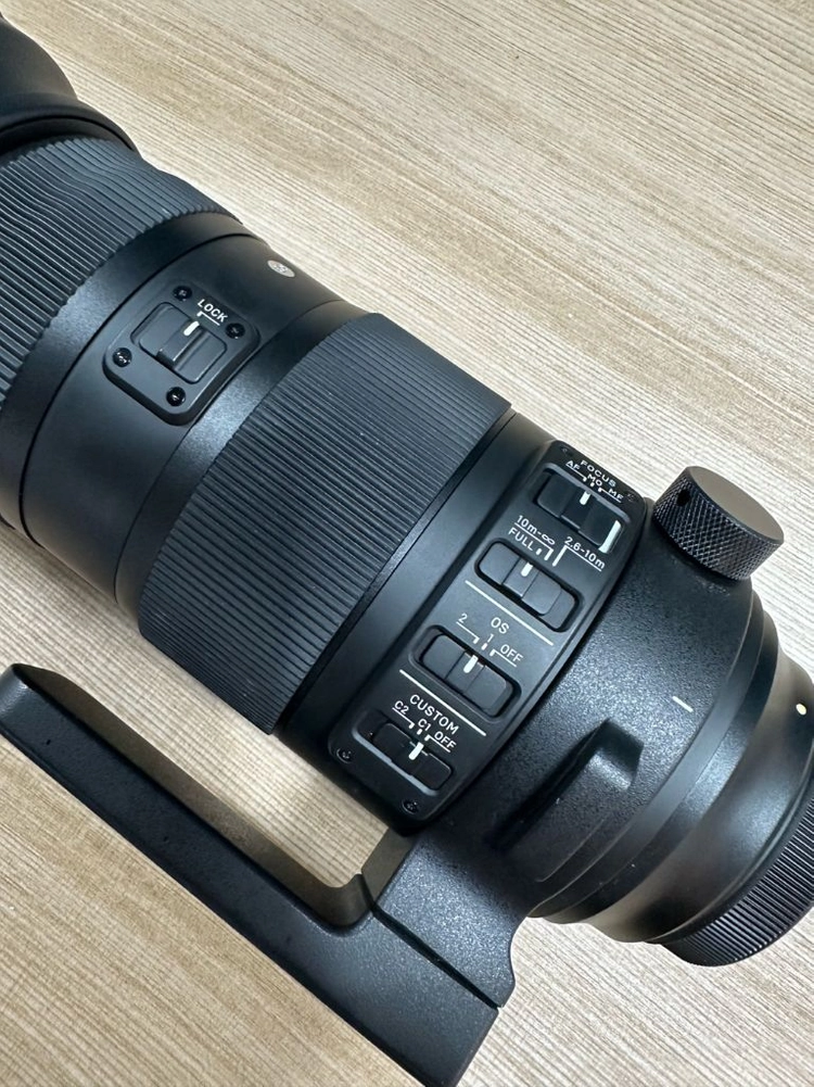 시그마 EF 150-600mm F5-6.3 DG 스포츠 이미지