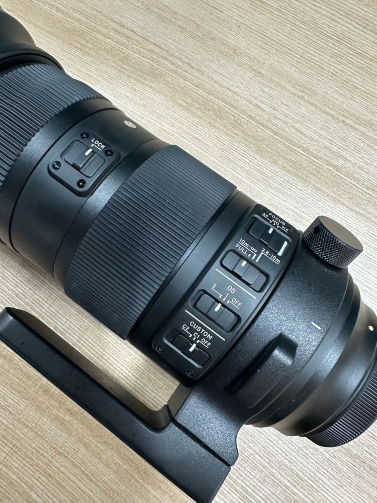 시그마 150-600mm F5-6.3 DG 스포츠--6