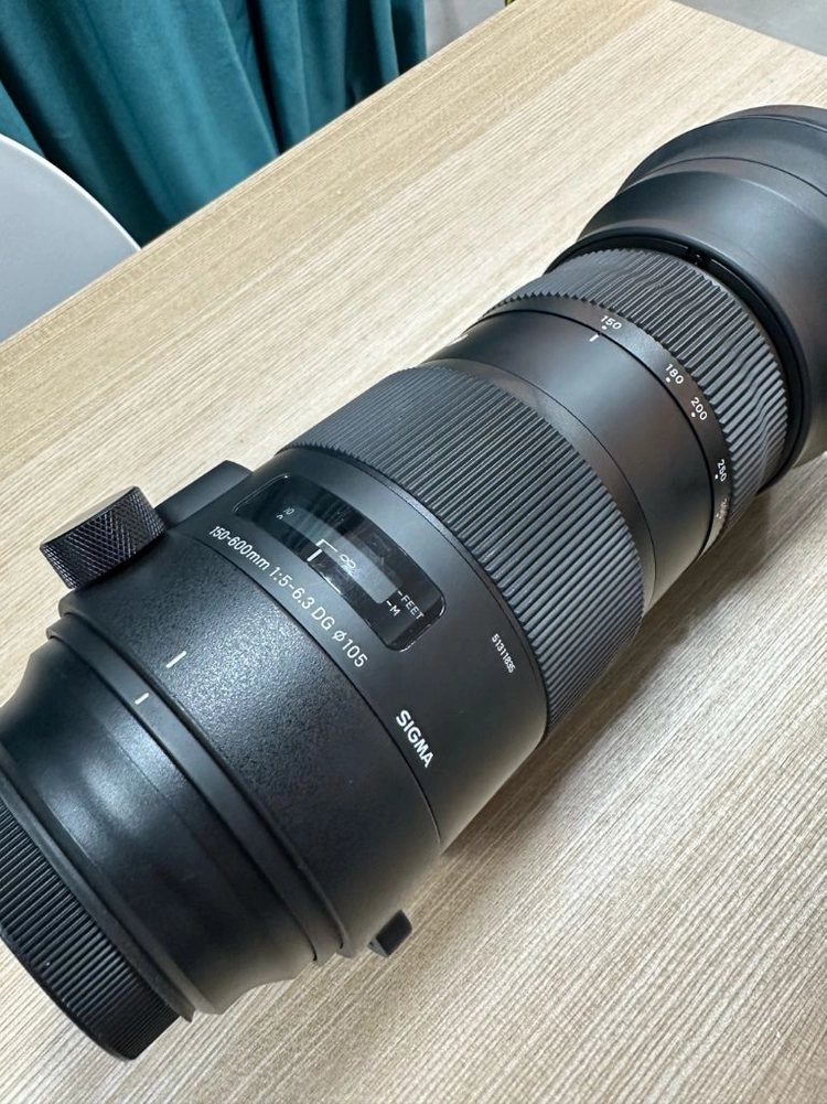 시그마 EF 150-600mm F5-6.3 DG 스포츠 이미지