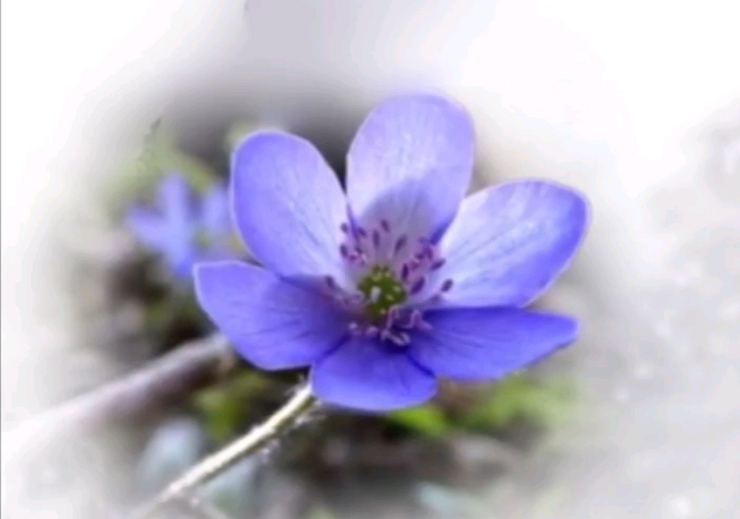 Louis Vuitton(루이비통) 다미에 그라파이트 알파 파우치 클러치 정품@ 태블릿 PC 수납가능--6