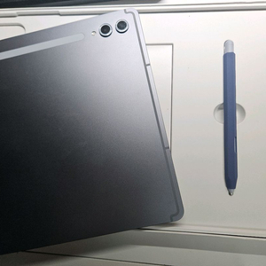 갤럭시 탭 S10 울트라 256GB s급