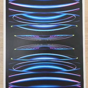 아이패드 12.9형 6세대 256G 팝니다.