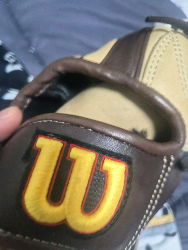 윌슨 프로스태프 한화이글스 싸인글러브--5