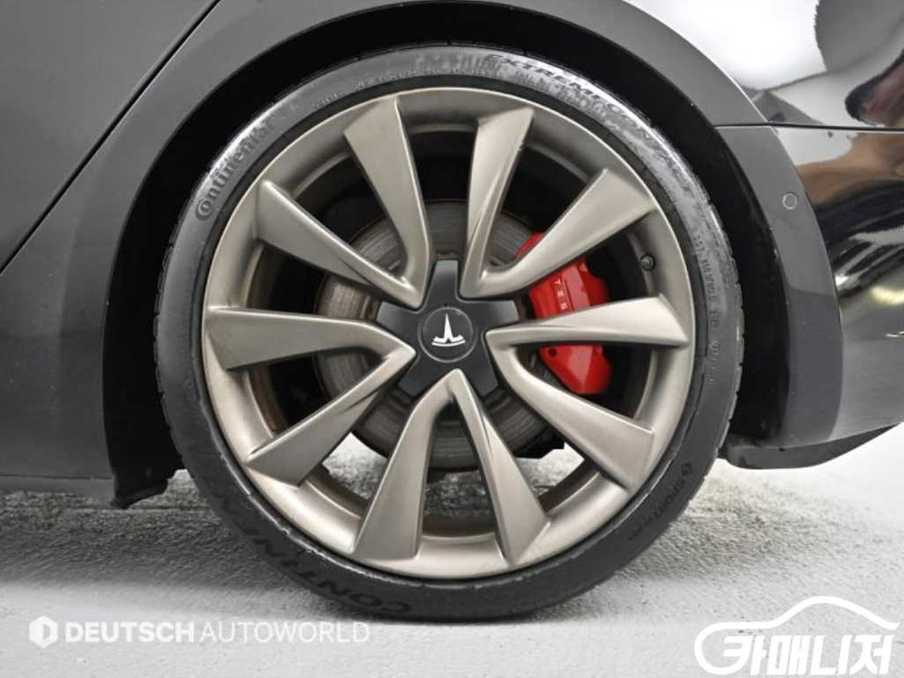 [테슬라]모델 3 퍼포먼스 #앱특가--4