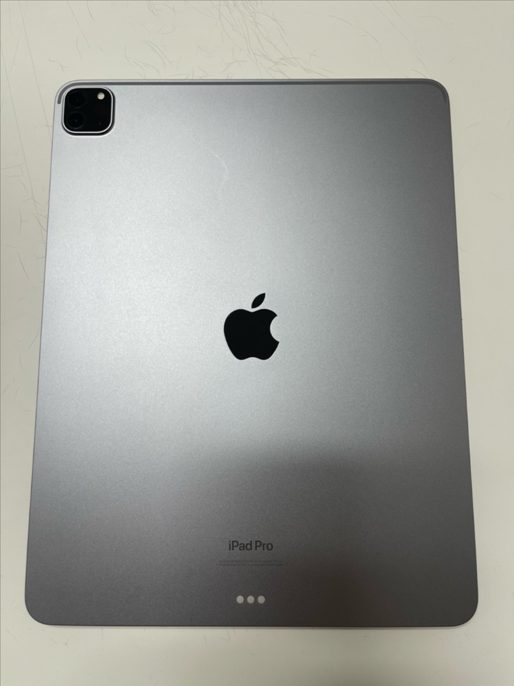 아이패드 프로 6세대 12.9인치 256GB Wifi 스페이스그레이--2