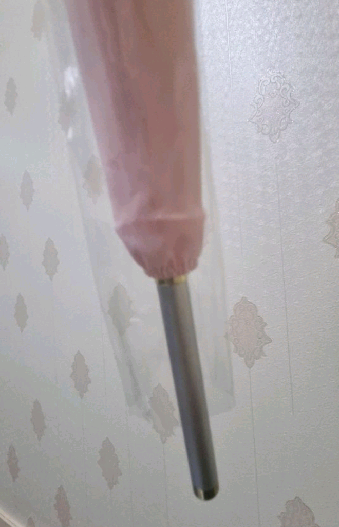 스타벅스 체리블라썸 장우산 이미지