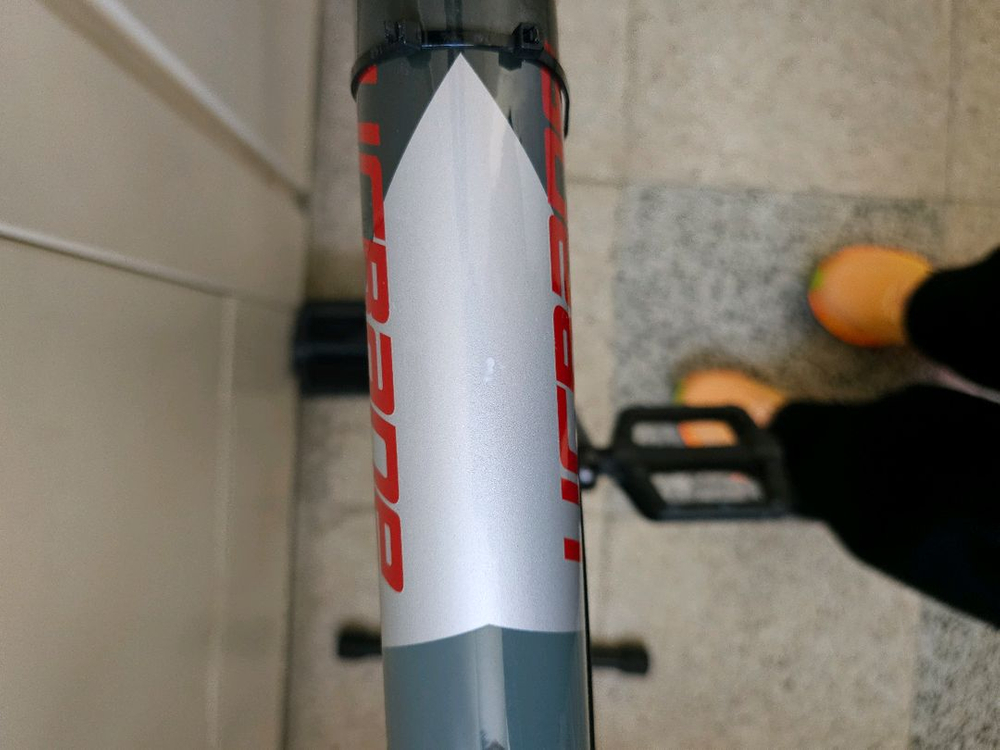 (반차) 콘스탄틴 어베인 2024--2