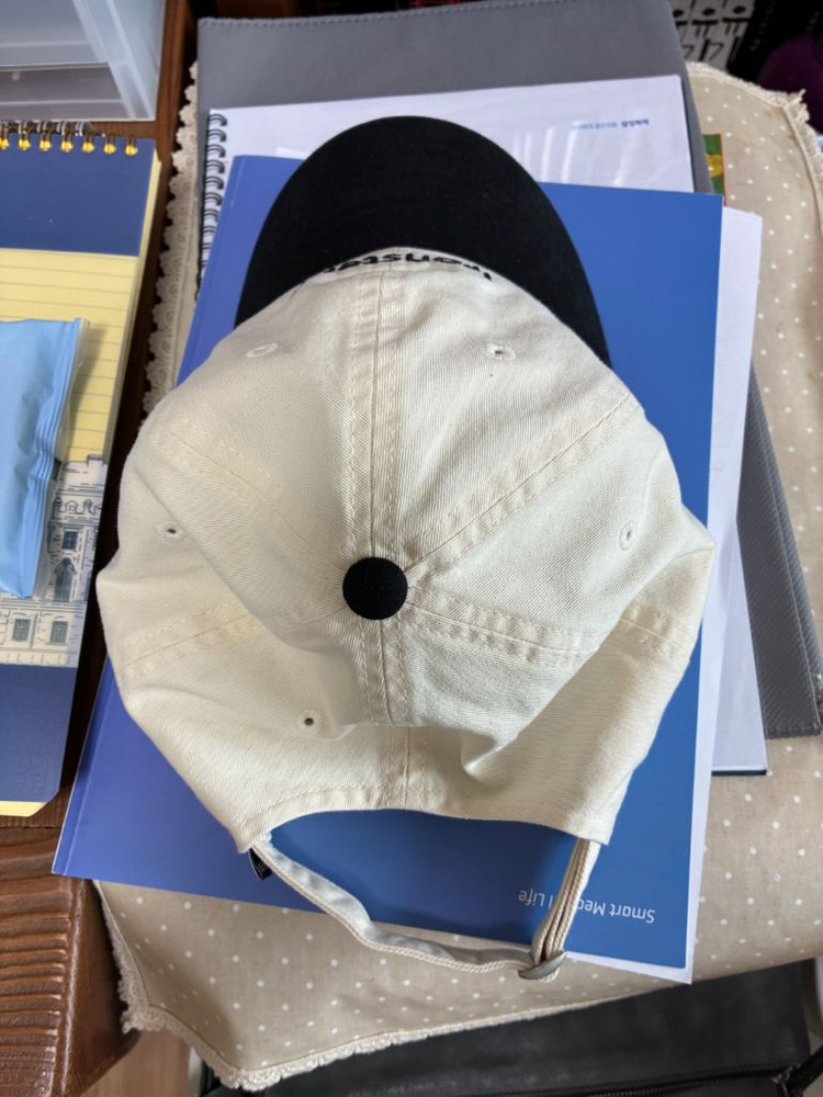 아이언슈타인 로고 볼캡 모자--4