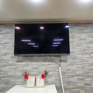 lg65인치 올레드 TV