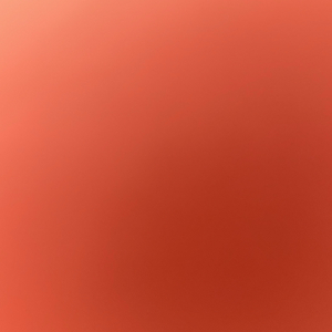 ㅈㄷ,젤로max .ㅇㅅ 거의 새거