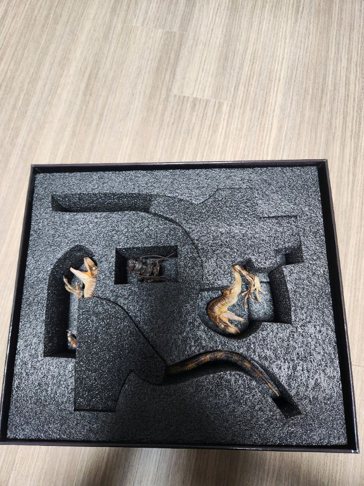 다이노드림 Dinodream 한정판 랩터듀오 공룡피규어 스테츄 판매합니다 이미지