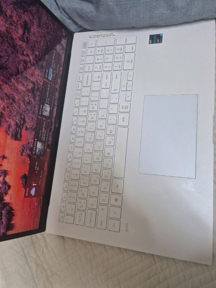 노트북 2021 lg 그램 17인치--3