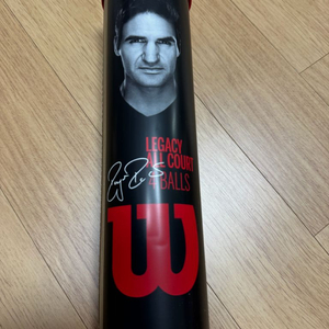 윌슨 로저 페더러 레거시 올 코트 테니스공