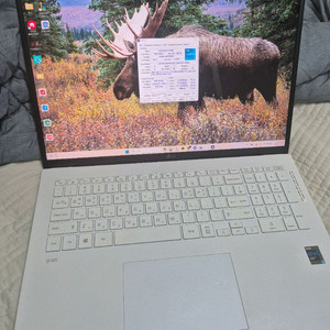 노트북 2021 lg 그램 17인치