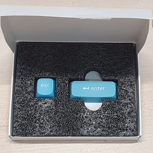 키크론 OSA 더블샷 PBT 키보드 교체용 커스텀 포인트 키캡 2pcs ESC ENTER_하늘색_C-5-2