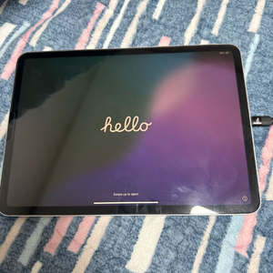 아이패드프로 11 m1 256GB 셀룰러