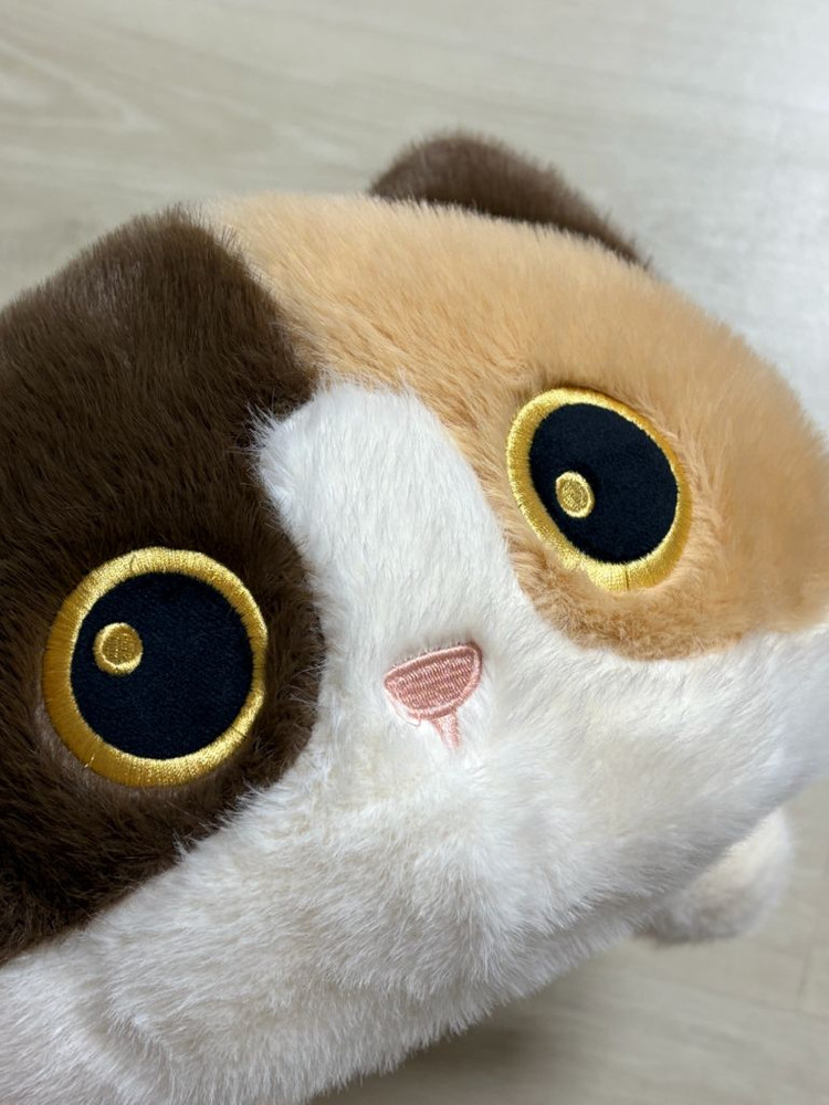 라이어캣츠 삼색이 고양이 50cm 대형 인형(새상품)--4