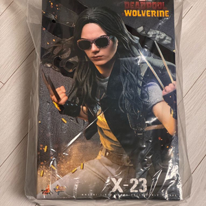 핫토이 X-23 로라