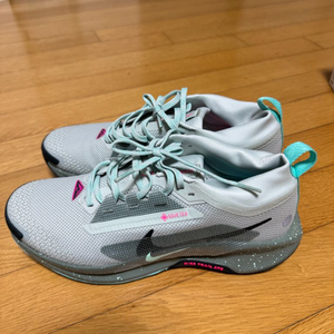 나이키 페가수스 트레일 5