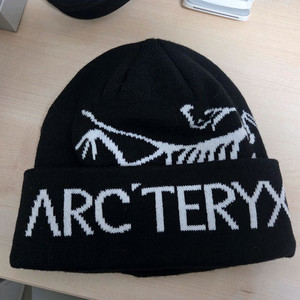 아크테릭스 비니 판매합니다