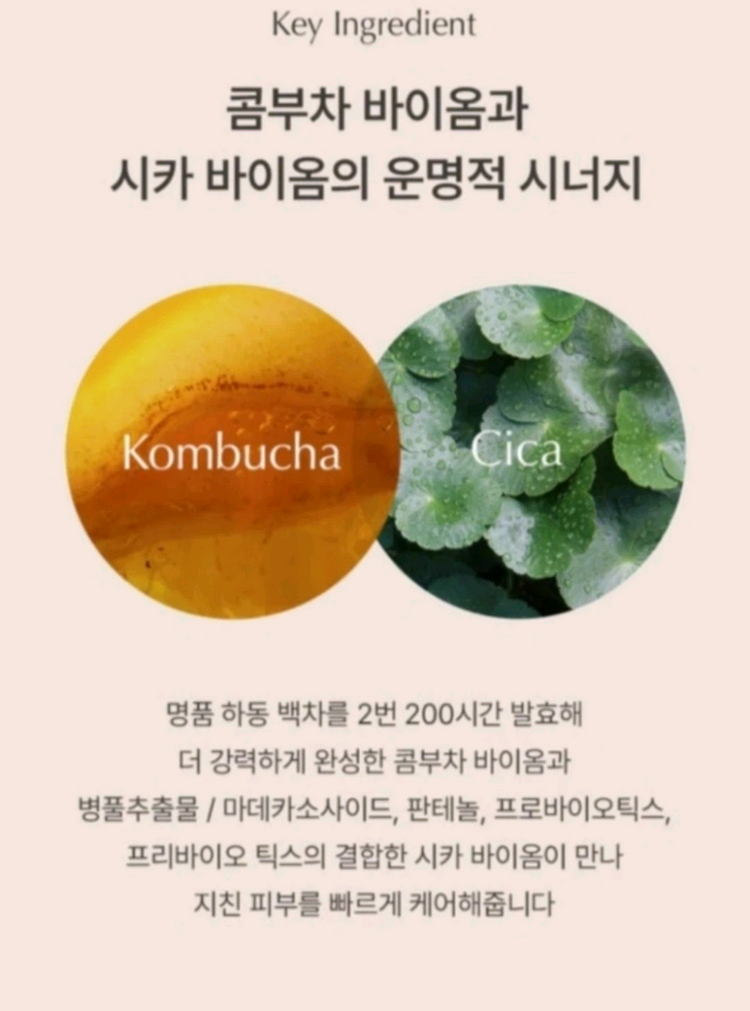 콤부차 시카 에센스 이미지