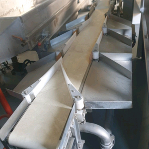 장어 자동중량선별기 판매 이미지