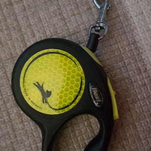 플렉시 강아지 반려견 자동 리드줄(소형견)