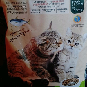 (새제품) 동원 고양이 사료 5kg