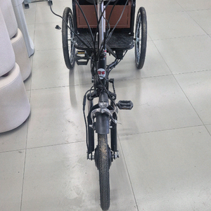 삼륜 전기자전거 36v 350w 20ah