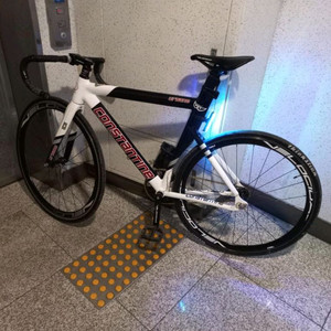 콘스탄틴 어베인 2024 이미지