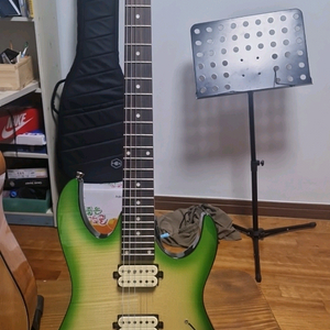 일렉기타 + 기타 케이스 세트