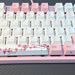 바밀로 매화 tkl 저소음 적축