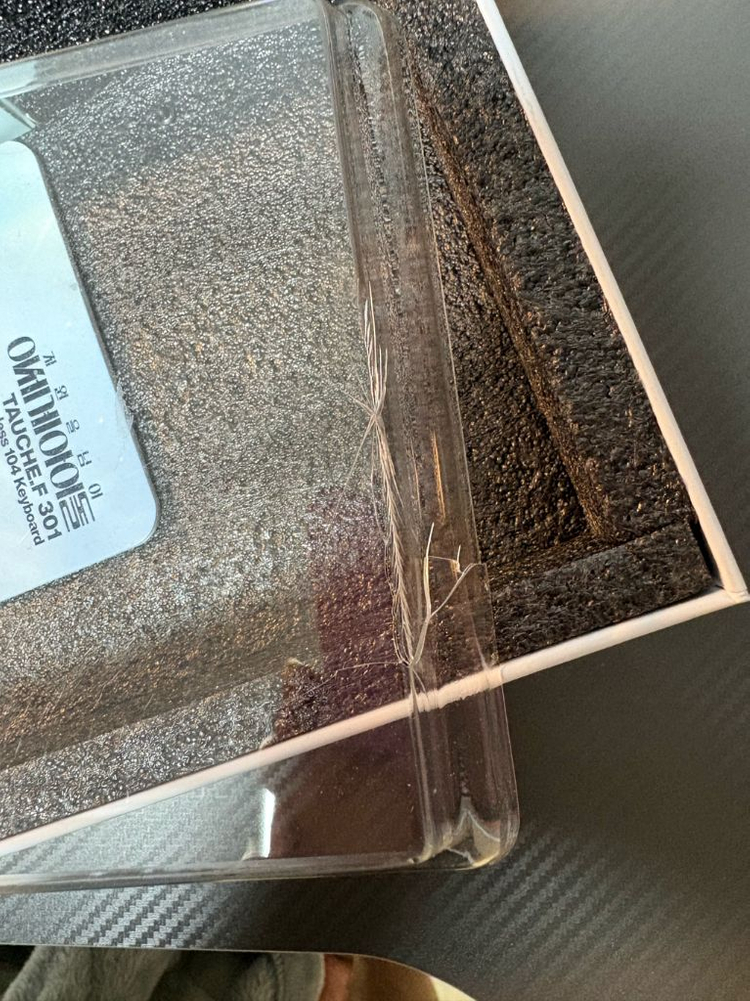 이세계 아이돌 키보드--1