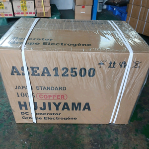 발전기 12500
