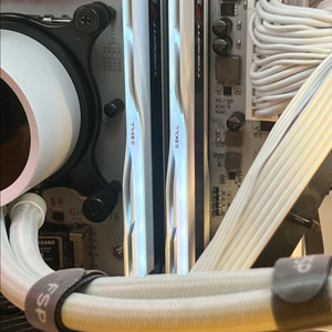 지스킬 DDR5 6400 CL32 TRIDENT Z5 화이트64GB(32Gx2)