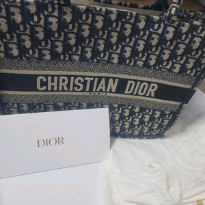 디올 북도트백 미디움