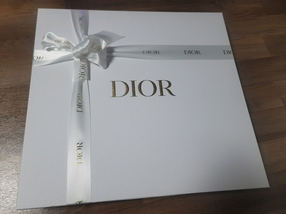 디올 북도트백 미디움--1