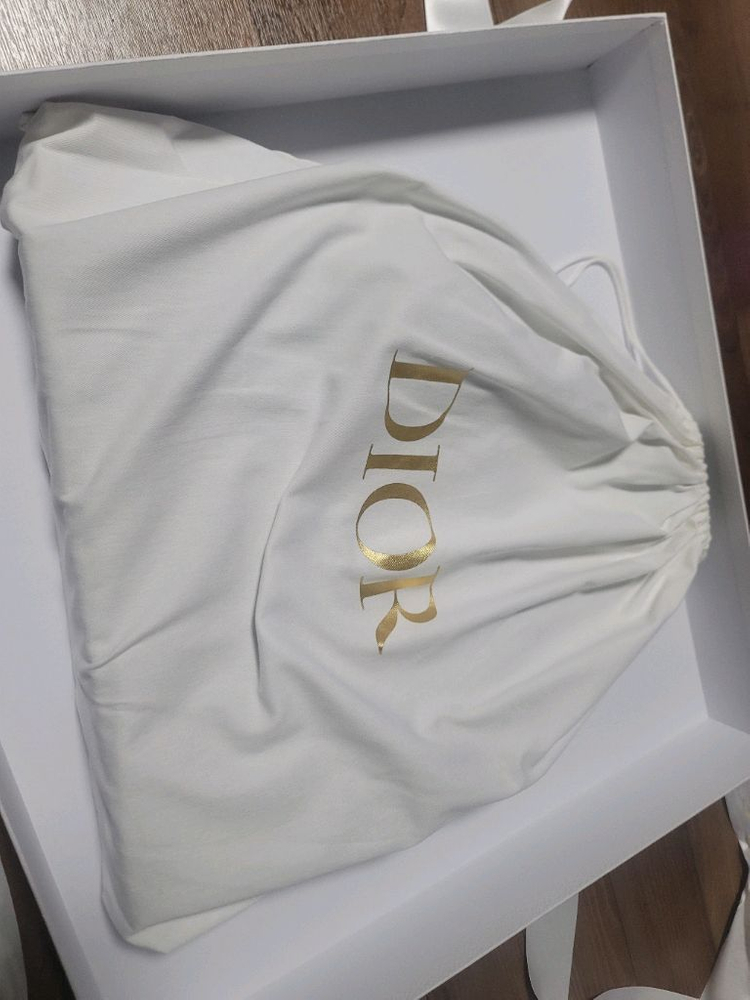 디올 북도트백 미디움--2